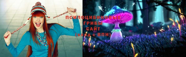 первитин Беломорск