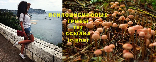 скорость Россошь