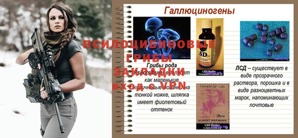 экстази Белокуриха