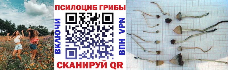 Псилоцибиновые грибы мухоморы  гидра ссылки  Краснотурьинск  купить  
